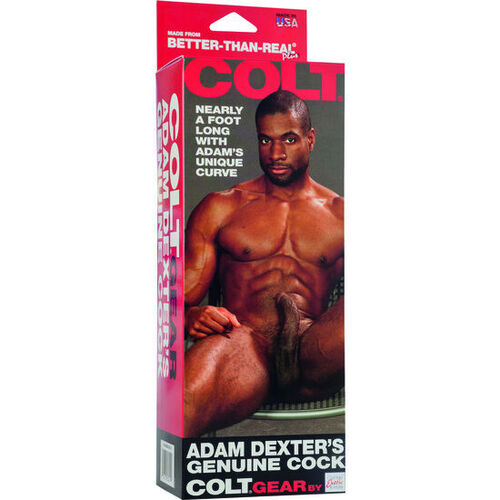 CALIFORNIA EXOTICS - COLT PENE REALISTICO ADAM DEXTER